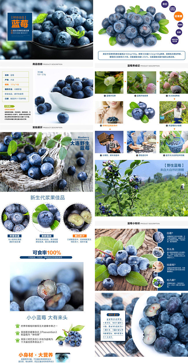 十八套精品原創農業農副產品寶貝詳情頁設計解讀
