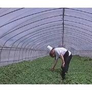 宿州號翰農(nóng)業(yè) 深耕農(nóng)副產(chǎn)品種植，助力鄉(xiāng)村振興新篇章