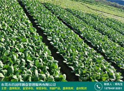 一站式指南 東城蔬菜配送公司服務認證辦理與百潤祥膳食的農副產品種植