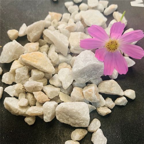 多年來與科研單位合作,不斷產(chǎn)品結構,為拓展市場,由原來單 一的濾料銷