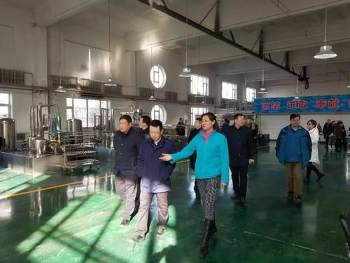 集團總經理王爽一行到水表廠 凈水劑分公司 四水廠進行節日慰問并指導工作