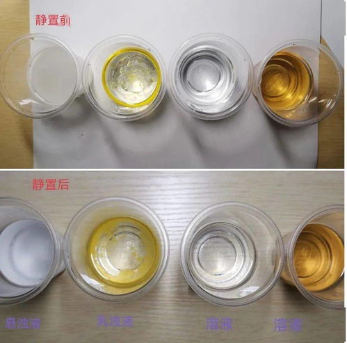 展學科實踐性作業(yè) 亮航中學子風采