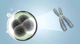 同是ncrna研究,你離國自然中標(biāo)還有多遠(yuǎn)